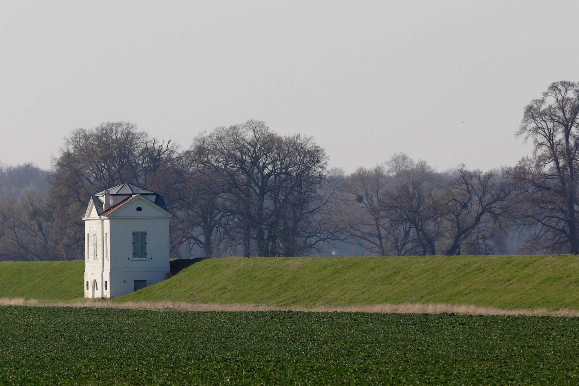 Ferienhaus Familie Berger Villa Dessau-Rosslau Bagian luar foto